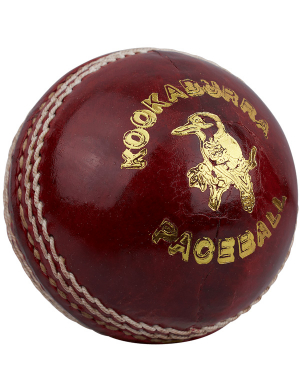 Kookaburra Cricket Paceball - Youths
