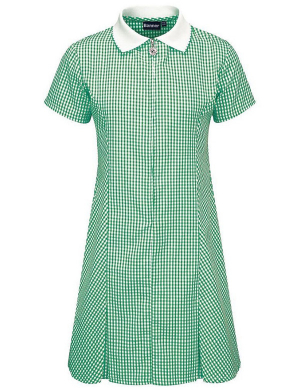 Gingham Summer Dress - Green