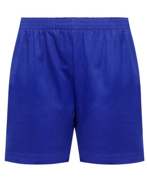 David Luke DL17 Short - Royal Blue (Pre-Sch - Yr 6)